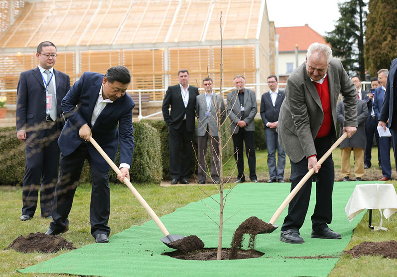 當地時間3月28日，國家主席習近平在布拉格拉尼莊園同捷克總統澤曼舉行會晤。會晤前，兩國元首在莊園裡種下一株來自中國的銀杏樹苗。新華社記者 蘭紅光 攝