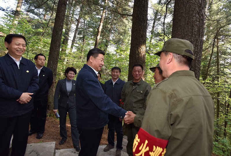 5月23日至25日，中共中央總書記、國家主席、中央軍委主席習(xí)近平在黑龍江考察調(diào)研。這是5月23日下午，習(xí)近平在上甘嶺林業(yè)局溪水國家森林公園視察時，叮囑林場工作人員一定要把森林資源保護好。 新華社記者 李濤 攝