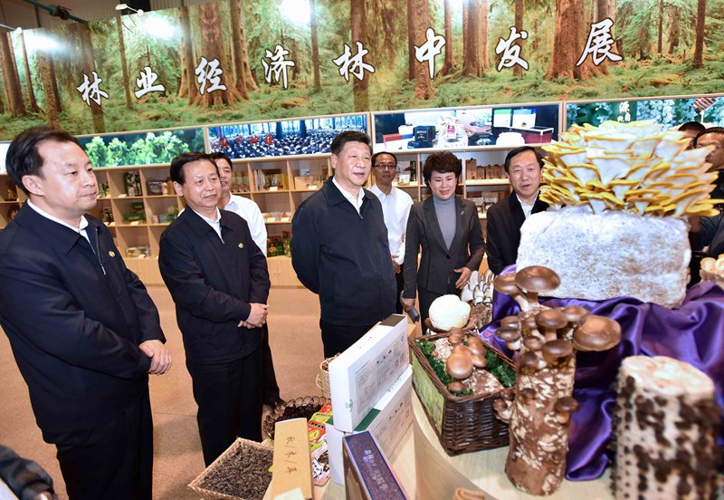 5月23日至25日，中共中央總書記、國(guó)家主席、中央軍委主席習(xí)近平在黑龍江考察調(diào)研。這是5月23日上午，習(xí)近平在伊春市生態(tài)經(jīng)濟(jì)開(kāi)發(fā)區(qū)規(guī)劃展示廳觀看生態(tài)產(chǎn)品展示，了解林區(qū)全面停伐后產(chǎn)業(yè)接續(xù)發(fā)展情況。 新華社記者 李濤 攝