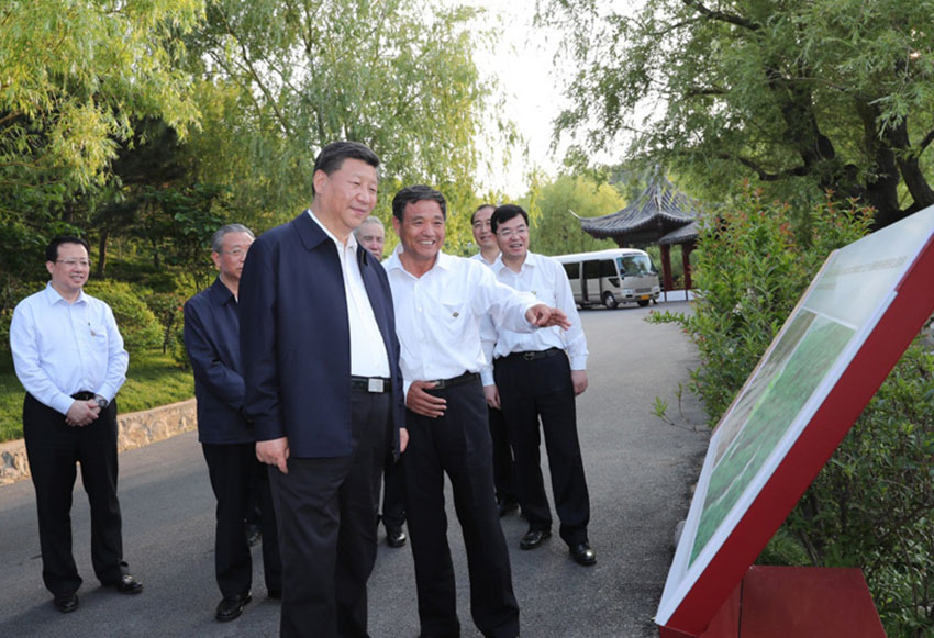 6月12日至14日，中共中央總書記、國家主席、中央軍委主席習近平在山東考察。這是12日下午，習近平在威海考察華夏集團生態修復項目。新華社記者 謝環馳 攝