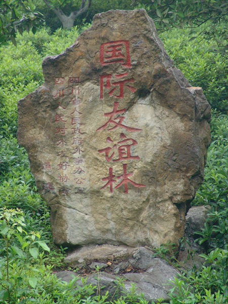 國(guó)際友誼林