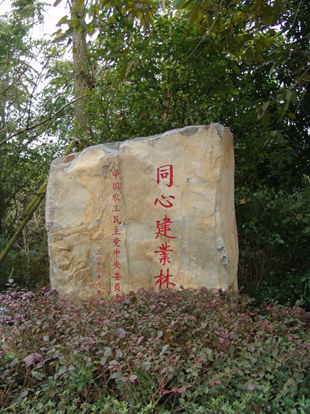 同心建業(yè)林