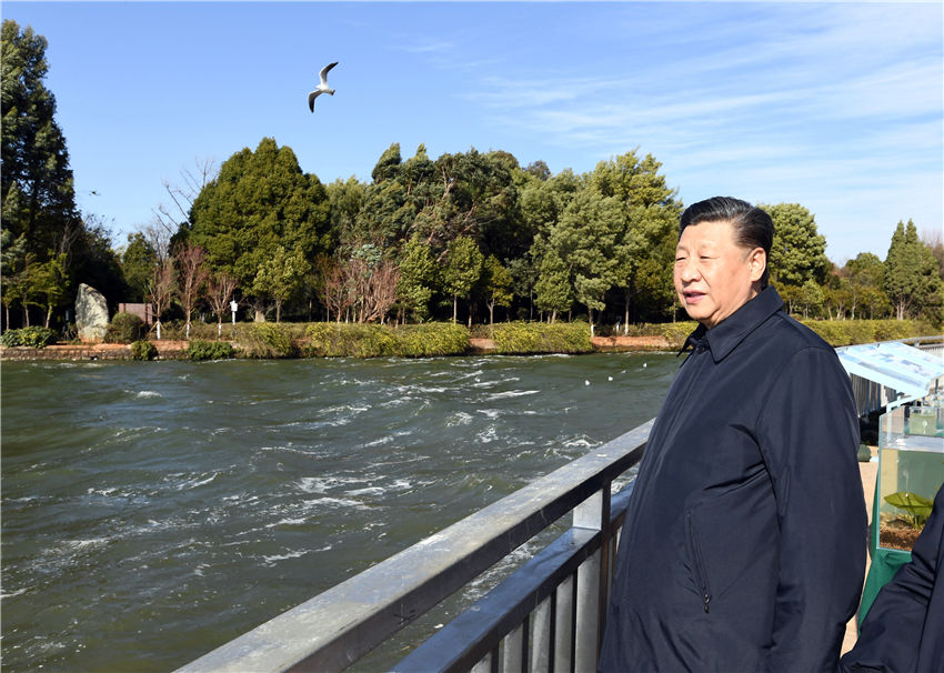 1月20日，正在雲南考察的中共中央總書記、國家主席、中央軍委主席習近平來到昆明，前往滇池星海半島生態濕地，察看滇池保護治理情況。新華社記者 謝環馳 攝