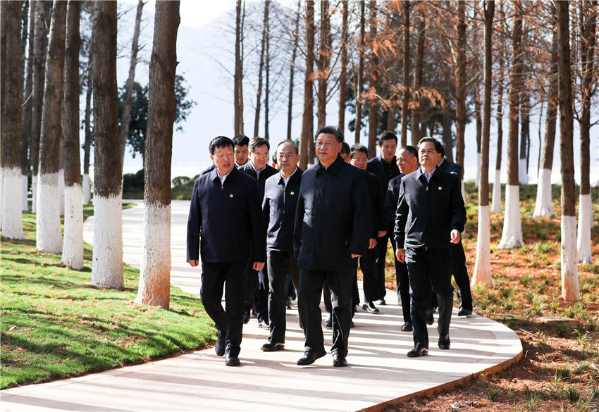 1月19日至21日，中共中央總書記、國家主席、中央軍委主席習近平來到雲南，看望慰問各族干部群眾，向全國人民致以新春祝福。這是20日下午，習近平在昆明滇池星海半島生態濕地考察調研。新華社記者 鞠鵬 攝