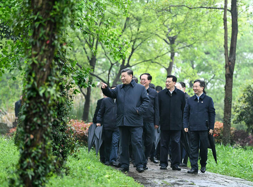 3月31日，中共中央總書記、國家主席、中央軍委主席習近平在杭州考察。這是習近平在西溪國家濕地公園就西溪濕地保護利用情況進行考察調研。 新華社記者 燕雁 攝