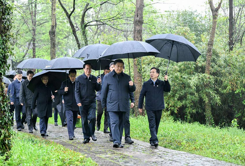 3月31日，中共中央總書記、國家主席、中央軍委主席習近平在杭州考察。這是習近平在西溪國家濕地公園就西溪濕地保護利用情況進行考察調研。 新華社記者 燕雁 攝