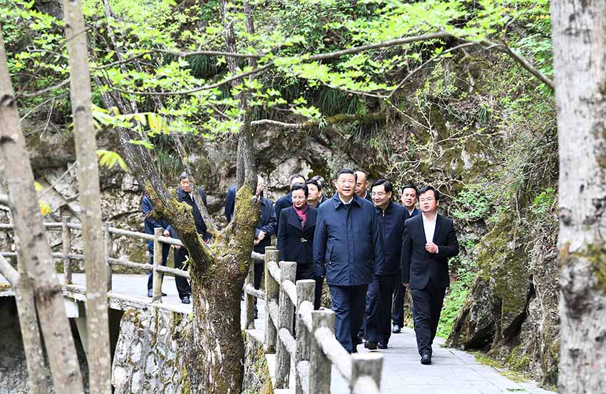 4月20日，中共中央總書(shū)記、國(guó)家主席、中央軍委主席習(xí)近平在陝西考察調(diào)研。這是習(xí)近平在位於商洛市柞水縣的秦嶺牛背梁國(guó)家級(jí)自然保護(hù)區(qū)，考察秦嶺生態(tài)保護(hù)情況。 新華社記者 謝環(huán)馳 攝