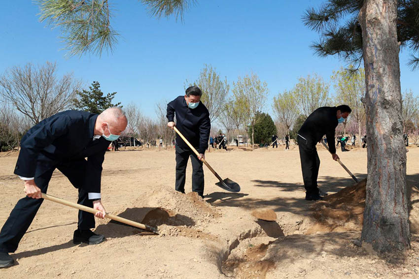 4月3日，黨和國家領導人習近平、李克強、栗戰書、汪洋、王滬寧、趙樂際、韓正、王岐山等來到北京市大興區舊宮鎮參加首都義務植樹活動。這是習近平同大家一起植樹。 新華社記者 龐興雷 攝