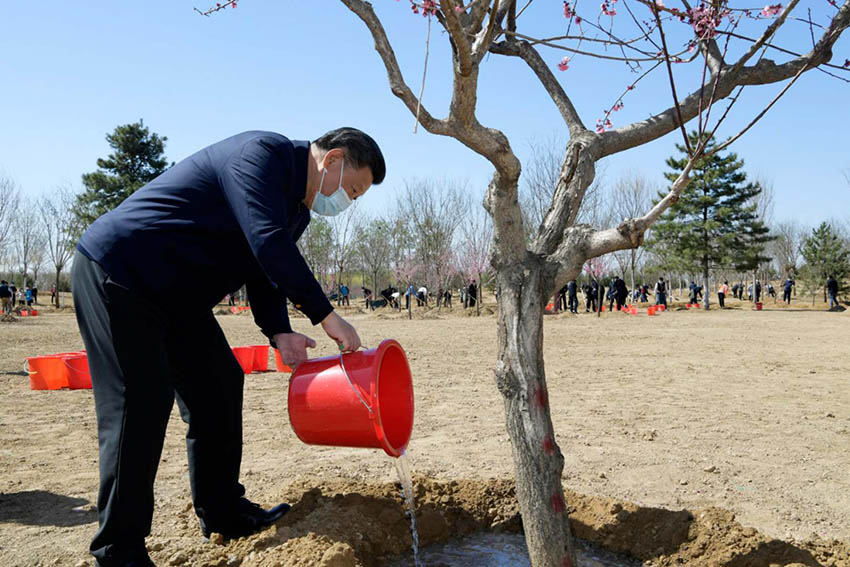 4月3日，黨和國家領導人習近平、李克強、栗戰書、汪洋、王滬寧、趙樂際、韓正、王岐山等來到北京市大興區舊宮鎮參加首都義務植樹活動。這是習近平提水澆灌樹木。 新華社記者 龐興雷 攝