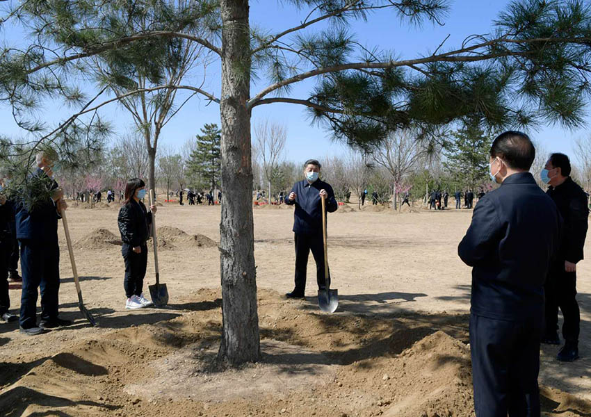 4月3日，黨和國家領導人習近平、李克強、栗戰書、汪洋、王滬寧、趙樂際、韓正、王岐山等來到北京市大興區舊宮鎮參加首都義務植樹活動。這是植樹期間，習近平同在場的干部群眾親切交談。 新華社記者 李學仁 攝