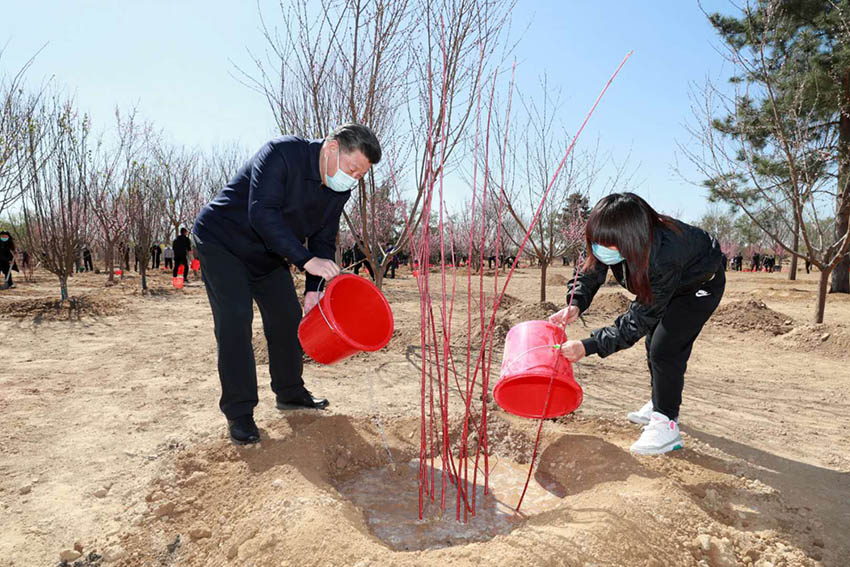 4月3日，黨和國家領導人習近平、李克強、栗戰書、汪洋、王滬寧、趙樂際、韓正、王岐山等來到北京市大興區舊宮鎮參加首都義務植樹活動。這是習近平提水澆灌樹木。 新華社記者 李學仁 攝