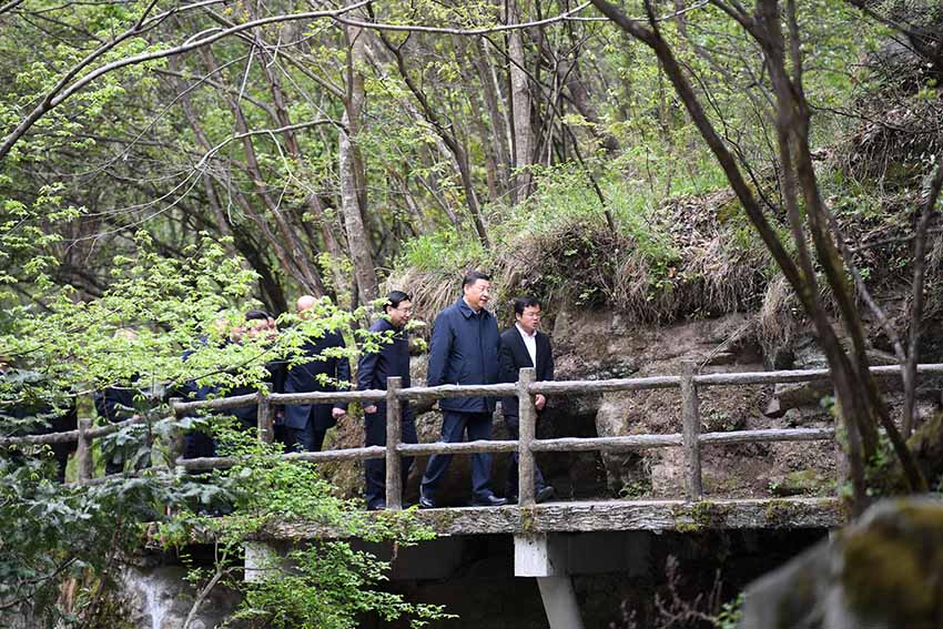 4月20日，中共中央總書記、國家主席、中央軍委主席習近平在陝西考察調研。這是習近平在位於商洛市柞水縣的秦嶺牛背梁國家級自然保護區，考察秦嶺生態保護情況。 新華社記者 翟健嵐 攝