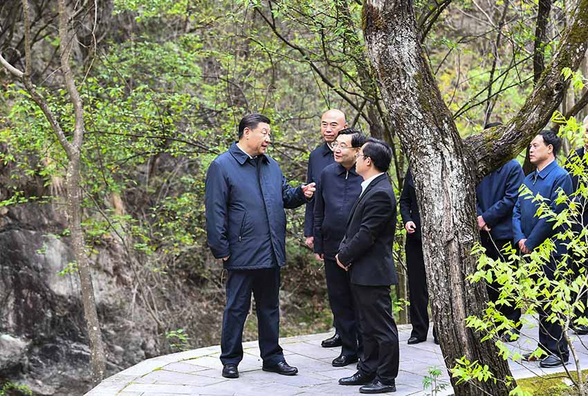 4月20日，中共中央總書記、國家主席、中央軍委主席習近平在陝西考察調研。這是習近平在位於商洛市柞水縣的秦嶺牛背梁國家級自然保護區，考察秦嶺生態保護情況。 新華社記者 謝環馳 攝