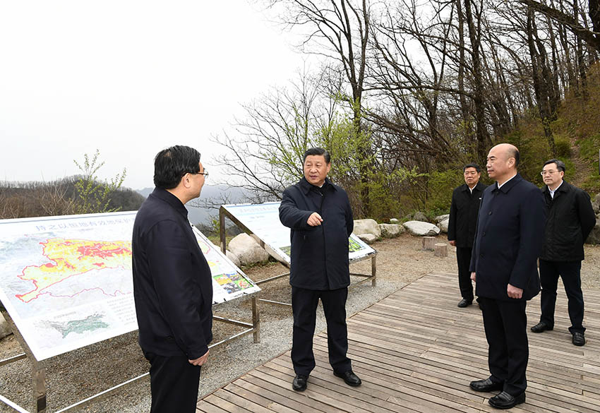 4月20日，中共中央總書記、國家主席、中央軍委主席習近平在陝西考察調研。這是習近平在位於商洛市柞水縣的秦嶺牛背梁國家級自然保護區，考察秦嶺生態保護情況。 新華社記者 謝環馳 攝