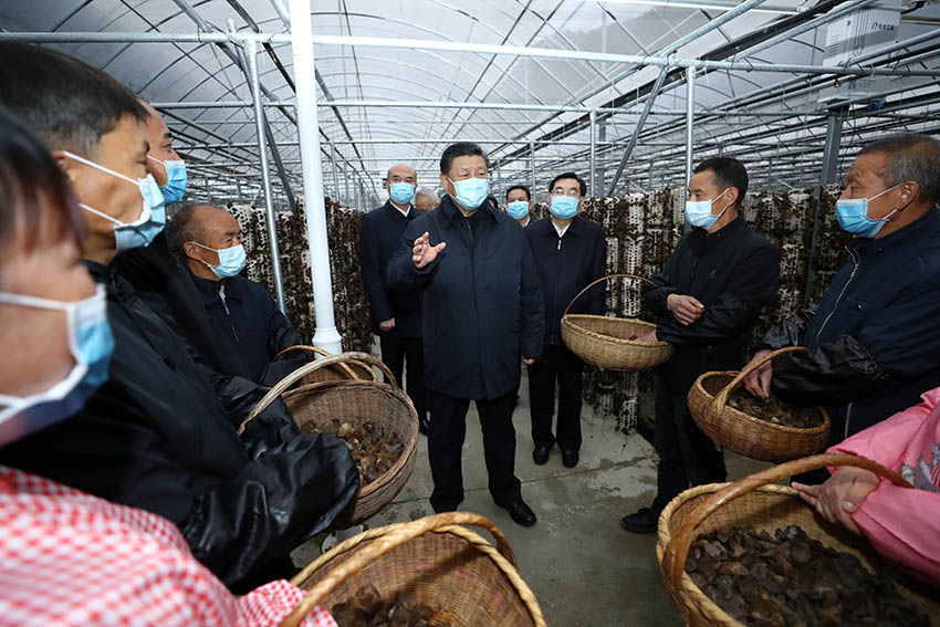 4月20日，中共中央總書記、國家主席、中央軍委主席習(xí)近平在陝西考察調(diào)研。這是習(xí)近平在商洛市柞水縣小嶺鎮(zhèn)金米村了解脫貧攻堅工作情況。 新華社記者 鞠鵬 攝