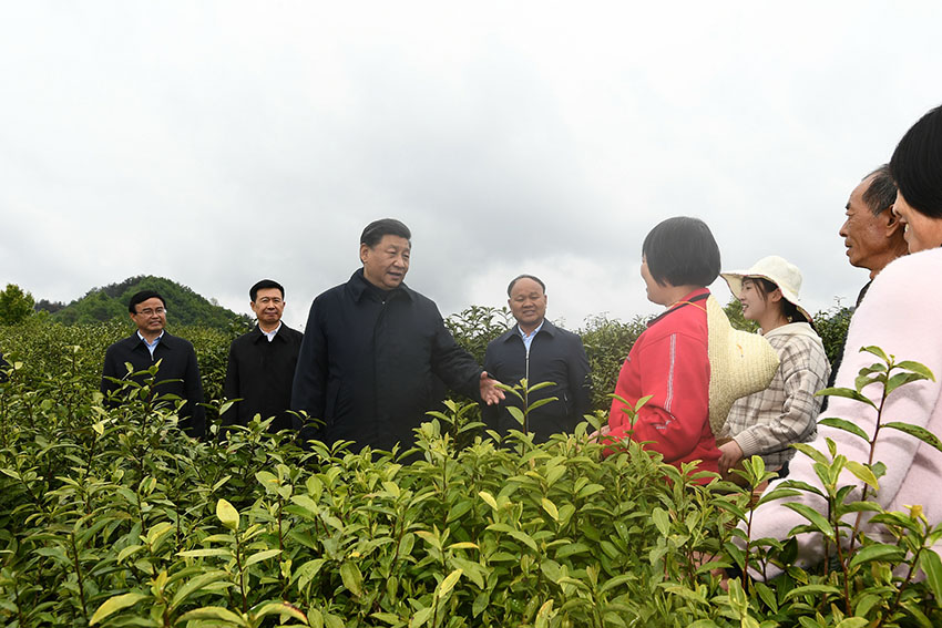 習近平總書記21日來到陝西省安康市平利縣老縣鎮(zhèn)，在錦屏社區(qū)、鎮(zhèn)衛(wèi)生院、中心小學和茶園考察當?shù)孛撠毠缘惹闆r。（文字記者：張曉鬆 攝影記者：鞠鵬、謝環(huán)馳、燕雁、翟健嵐）