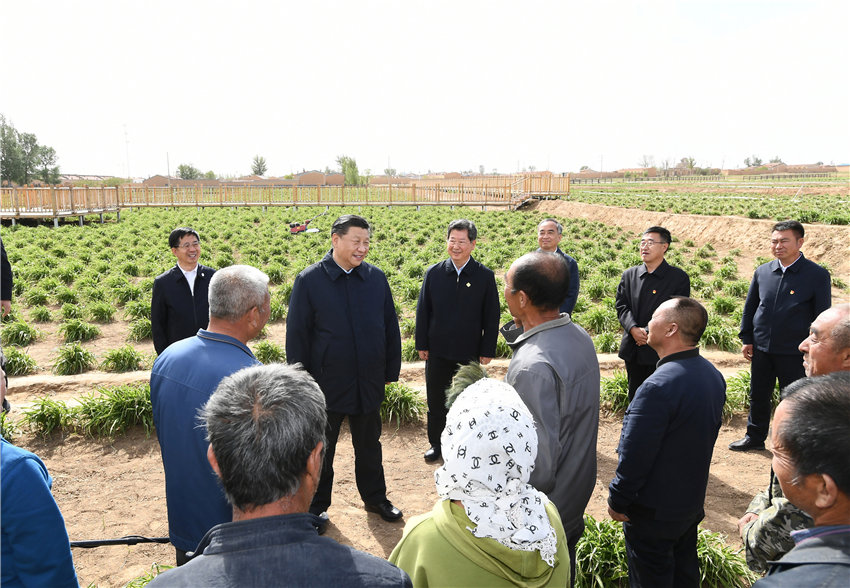 5月11日至12日，中共中央總書記、國家主席、中央軍委主席習近平在山西考察。這是5月11日下午，習近平在大同市雲州區有機黃花標準化種植基地，同正在勞作的村民們親切交談。 新華社記者 謝環馳 攝