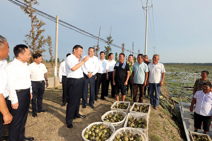 8月18日至21日，中共中央總書記、國家主席、中央軍委主席習近平在安徽省考察。這是18日下午，習近平在阜陽市阜南縣蒙窪蓄洪區，同正在採摘芡實的鄉親們親切交流，了解災后生產恢復情況。 新華社記者 鞠鵬 攝