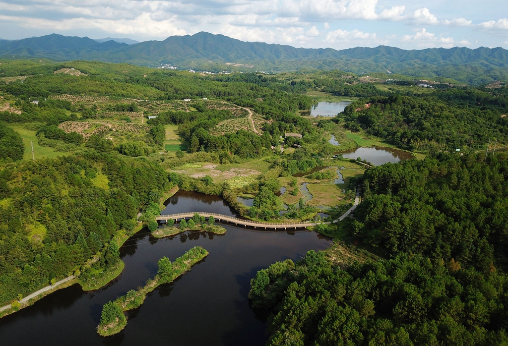 福建省龍巖市長汀縣的長汀汀江國家濕地公園景色（2020年7月28日攝，無人機照片）。新華社記者 魏培全 攝