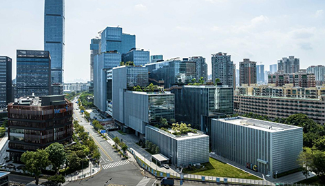 12年，總書記種下的“信心樹”枝繁葉茂盛夏時節，深圳蓮花山公園滿目蔥郁，游人如織。登臨山頂俯瞰，一座座摩天大廈拔地而起。從南海之濱“小漁村”，到改革開放“試驗田”，再到大灣區建設“重要引擎”，深圳作為敢於“第一個吃螃蟹的人”，以經濟密度論英雄，以發展效率論能耐。