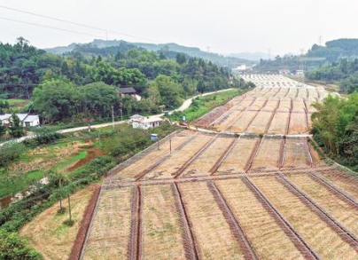 山溝里的甜蜜基地